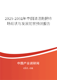 2025-2031年中國(guó)清潔拖把市場(chǎng)現(xiàn)狀與發(fā)展前景預(yù)測(cè)報(bào)告
