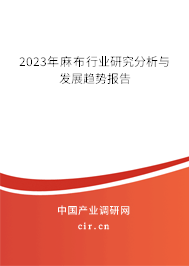 2023年麻布行業(yè)研究分析與發(fā)展趨勢報(bào)告