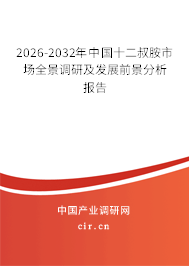 2026-2032年中國(guó)十二叔胺市場(chǎng)全景調(diào)研及發(fā)展前景分析報(bào)告