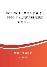 2025-2031年中國公私合作（PPP）行業(yè)深度調(diào)研與發(fā)展趨勢報告