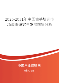 2025-2031年中國(guó)古箏培訓(xùn)市場(chǎng)調(diào)查研究與發(fā)展前景分析