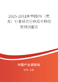 2025-2031年中國PA（尼龍）行業(yè)研究分析及市場前景預測報告