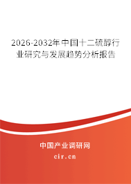 2026-2032年中國十二硫醇行業(yè)研究與發(fā)展趨勢分析報告