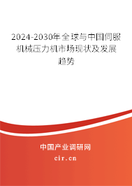 2024-2030年全球與中國伺服機械壓力機市場現(xiàn)狀及發(fā)展趨勢