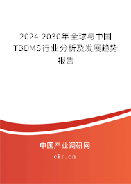 2024-2030年全球與中國TBDMS行業(yè)分析及發(fā)展趨勢報告