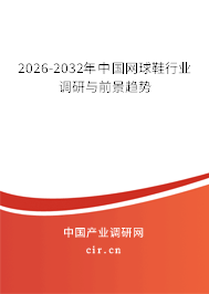 2026-2032年中國網(wǎng)球鞋行業(yè)調(diào)研與前景趨勢
