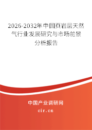 2026-2032年中國頁巖層天然氣行業(yè)發(fā)展研究與市場前景分析報告