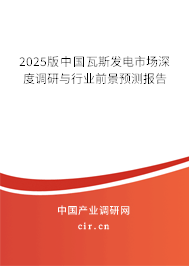2025版中國瓦斯發(fā)電市場深度調研與行業(yè)前景預測報告