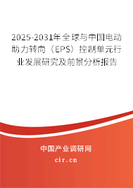 2025-2031年全球與中國電動助力轉(zhuǎn)向(EPS)控制單元行業(yè)發(fā)展研究及前景分析報告 2025-2031年全球與中國電動助力轉(zhuǎn)向(EPS)控制單元行業(yè)發(fā)展研究及前景分析報告