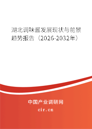 湖北調(diào)味醬發(fā)展現(xiàn)狀與前景趨勢報告（2026-2032年）