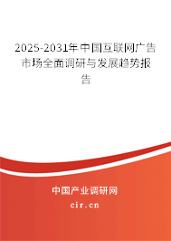 2025-2031年中國互聯(lián)網(wǎng)廣告市場全面調(diào)研與發(fā)展趨勢報告