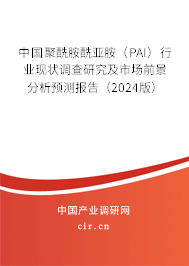 中國聚酰胺酰亞胺（PAI）行業(yè)現(xiàn)狀調(diào)查研究及市場前景分析預(yù)測報告（2024版）