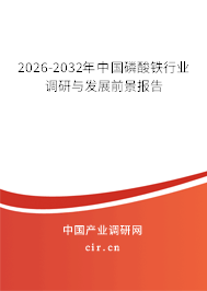 2026-2032年中國(guó)磷酸鐵行業(yè)調(diào)研與發(fā)展前景報(bào)告