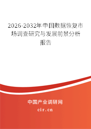 2026-2032年中國數(shù)據(jù)恢復市場調(diào)查研究與發(fā)展前景分析報告