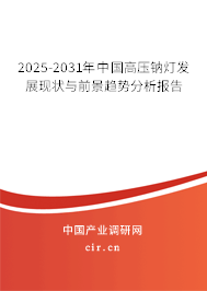 2025-2031年中國(guó)高壓鈉燈發(fā)展現(xiàn)狀與前景趨勢(shì)分析報(bào)告