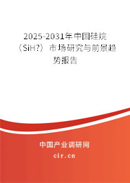 2025-2031年中國硅烷(SiH?)市場(chǎng)研究與前景趨勢(shì)報(bào)告 2025-2031年中國硅烷(SiH?)市場(chǎng)研究與前景趨勢(shì)報(bào)告