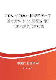2025-2031年中國聚乙烯土工膜專用料行業(yè)發(fā)展深度調(diào)研與未來趨勢分析報告 2025-2031年中國聚乙烯土工膜專用料行業(yè)發(fā)展深度調(diào)研與未來趨勢分析報告