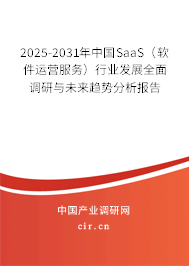 2025-2031年中國SaaS（軟件運營服務(wù)）行業(yè)發(fā)展全面調(diào)研與未來趨勢分析報告