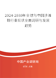 2024-2030年全球與中國沙灘鞋行業(yè)現(xiàn)狀全面調(diào)研與發(fā)展趨勢
