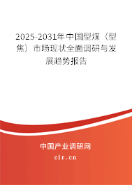 2025-2031年中國型煤（型焦）市場現狀全面調研與發(fā)展趨勢報告