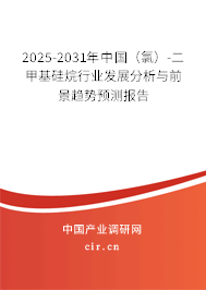 2025-2031年中國（氯）-二甲基硅烷行業(yè)發(fā)展分析與前景趨勢預(yù)測報告