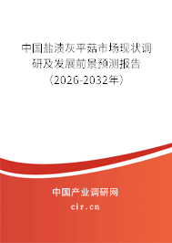 中國鹽漬灰平菇市場(chǎng)現(xiàn)狀調(diào)研及發(fā)展前景預(yù)測(cè)報(bào)告（2026-2032年）