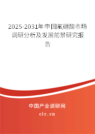 2025-2031年中國氟硼酸市場調(diào)研分析及發(fā)展前景研究報告