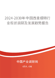 2023-2029年中國西查細特行業(yè)現(xiàn)狀調(diào)研及發(fā)展趨勢報告