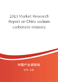 2013 Market Research Report on China sodium carbonate Industry 2013 Market Research Report on China sodium carbonate Industry