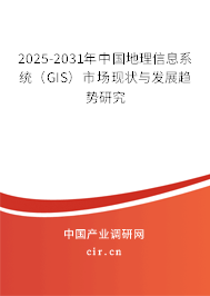 2025-2031年中國(guó)地理信息系統(tǒng)（GIS）市場(chǎng)現(xiàn)狀與發(fā)展趨勢(shì)研究