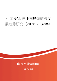 中國(guó)NGN行業(yè)市場(chǎng)調(diào)研與發(fā)展趨勢(shì)研究(2026-2032年) 中國(guó)NGN行業(yè)市場(chǎng)調(diào)研與發(fā)展趨勢(shì)研究(2026-2032年)