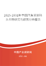 2025-2031年中國汽車滾裝碼頭市場研究與趨勢分析報(bào)告