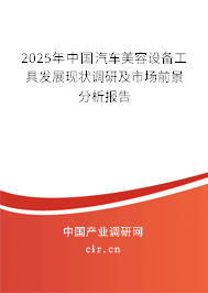 2025年中國汽車美容設(shè)備工具發(fā)展現(xiàn)狀調(diào)研及市場前景分析報告