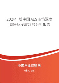 2023年版中國AES市場深度調(diào)研及發(fā)展趨勢分析報(bào)告 2023年版中國AES市場深度調(diào)研及發(fā)展趨勢分析報(bào)告