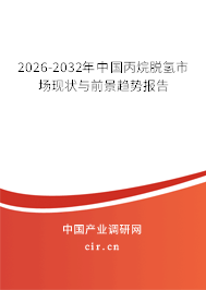 2026-2032年中國丙烷脫氫市場現(xiàn)狀與前景趨勢報告 2026-2032年中國丙烷脫氫市場現(xiàn)狀與前景趨勢報告