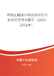 中國光觸媒市場調(diào)查研究與發(fā)展前景預(yù)測報告(2025-2031年) 中國光觸媒市場調(diào)查研究與發(fā)展前景預(yù)測報告(2025-2031年)