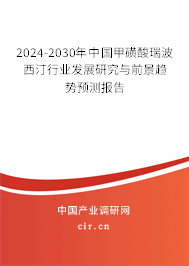 2024-2030年中國甲磺酸瑞波西汀行業(yè)發(fā)展研究與前景趨勢預測報告