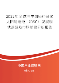 2022年全球與中國染料敏化太陽能電池 （DSC）發(fā)展現(xiàn)狀調(diào)研及市場前景分析報(bào)告