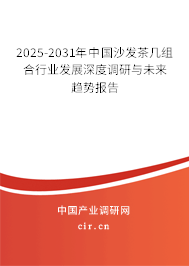 2025-2031年中國沙發(fā)茶幾組合行業(yè)發(fā)展深度調(diào)研與未來趨勢報告