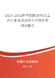 2025-2031年中國套裝電動工具行業(yè)發(fā)展調(diào)研與市場前景預測報告