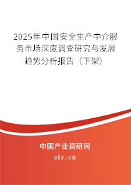 2025年中國安全生產(chǎn)中介服務(wù)市場深度調(diào)查研究與發(fā)展趨勢分析報告(下架) 2025年中國安全生產(chǎn)中介服務(wù)市場深度調(diào)查研究與發(fā)展趨勢分析報告(下架)