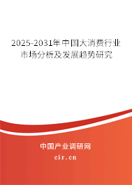 2025-2031年中國(guó)大消費(fèi)行業(yè)市場(chǎng)分析及發(fā)展趨勢(shì)研究