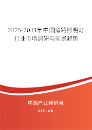 2025-2031年中國道路照明燈行業(yè)市場調(diào)研與前景趨勢