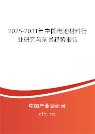 2025-2031年中國(guó)電池材料行業(yè)研究與前景趨勢(shì)報(bào)告