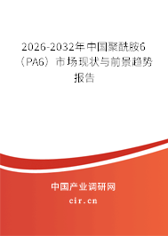 2026-2032年中國聚酰胺6(PA6)市場現(xiàn)狀與前景趨勢報告 2026-2032年中國聚酰胺6(PA6)市場現(xiàn)狀與前景趨勢報告