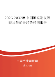 2026-2032年中國填充劑發(fā)展現(xiàn)狀與前景趨勢預測報告 2026-2032年中國填充劑發(fā)展現(xiàn)狀與前景趨勢預測報告