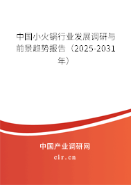 中國小火鍋行業(yè)發(fā)展調(diào)研與前景趨勢報告(2025-2031年) 中國小火鍋行業(yè)發(fā)展調(diào)研與前景趨勢報告(2025-2031年)