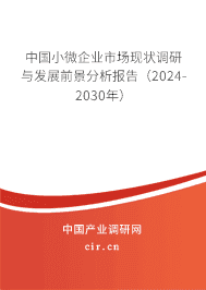 中國小微企業(yè)市場現(xiàn)狀調(diào)研與發(fā)展前景分析報告（2023-2029年）
