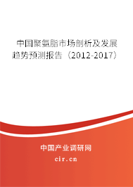 中國聚氨脂市場剖析及發(fā)展趨勢預(yù)測報告（2012-2017）