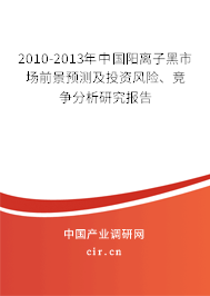 2010-2013年中國陽離子黑市場前景預(yù)測及投資風(fēng)險、競爭分析研究報告